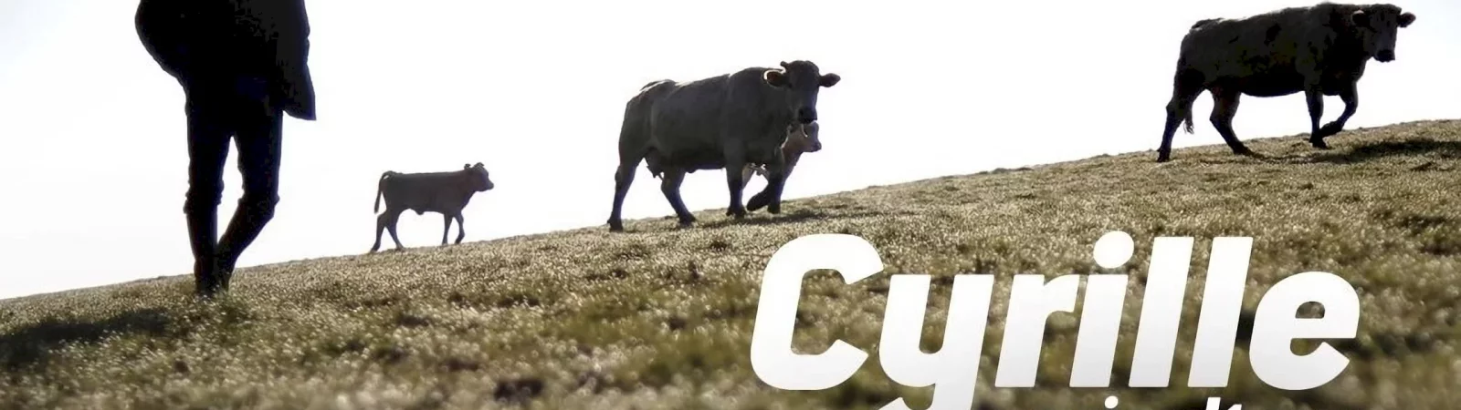 Photo du film : Cyrille, agriculteur, 30 ans, 20 vaches, du lait, du beurre, des dettes