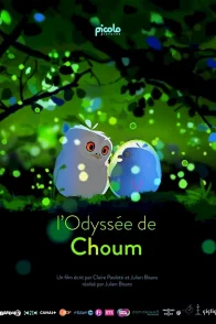 Affiche du film : L'Odyssée de Choum