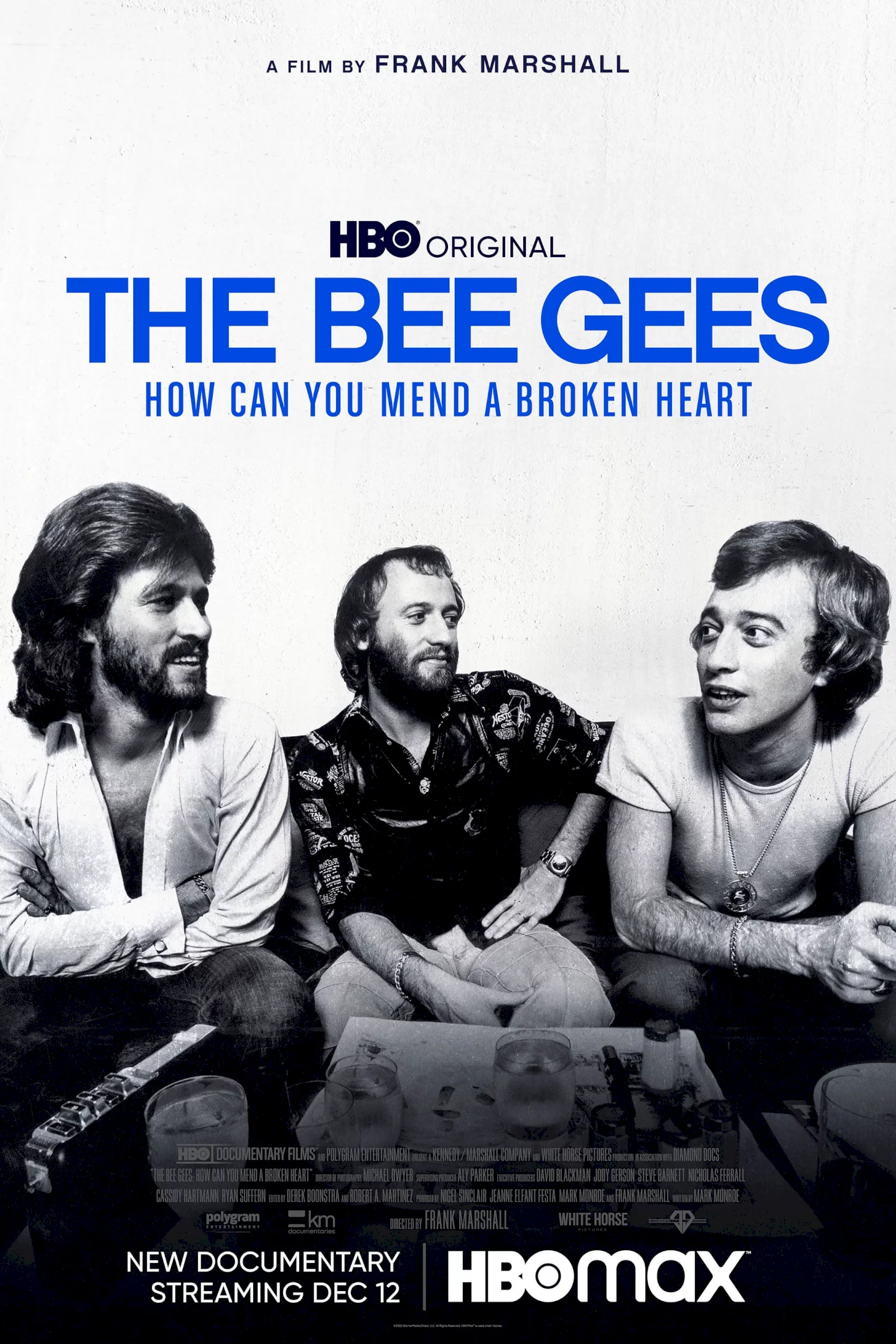 Photo 3 du film : The Bee Gees: How Can You Mend a Broken Heart