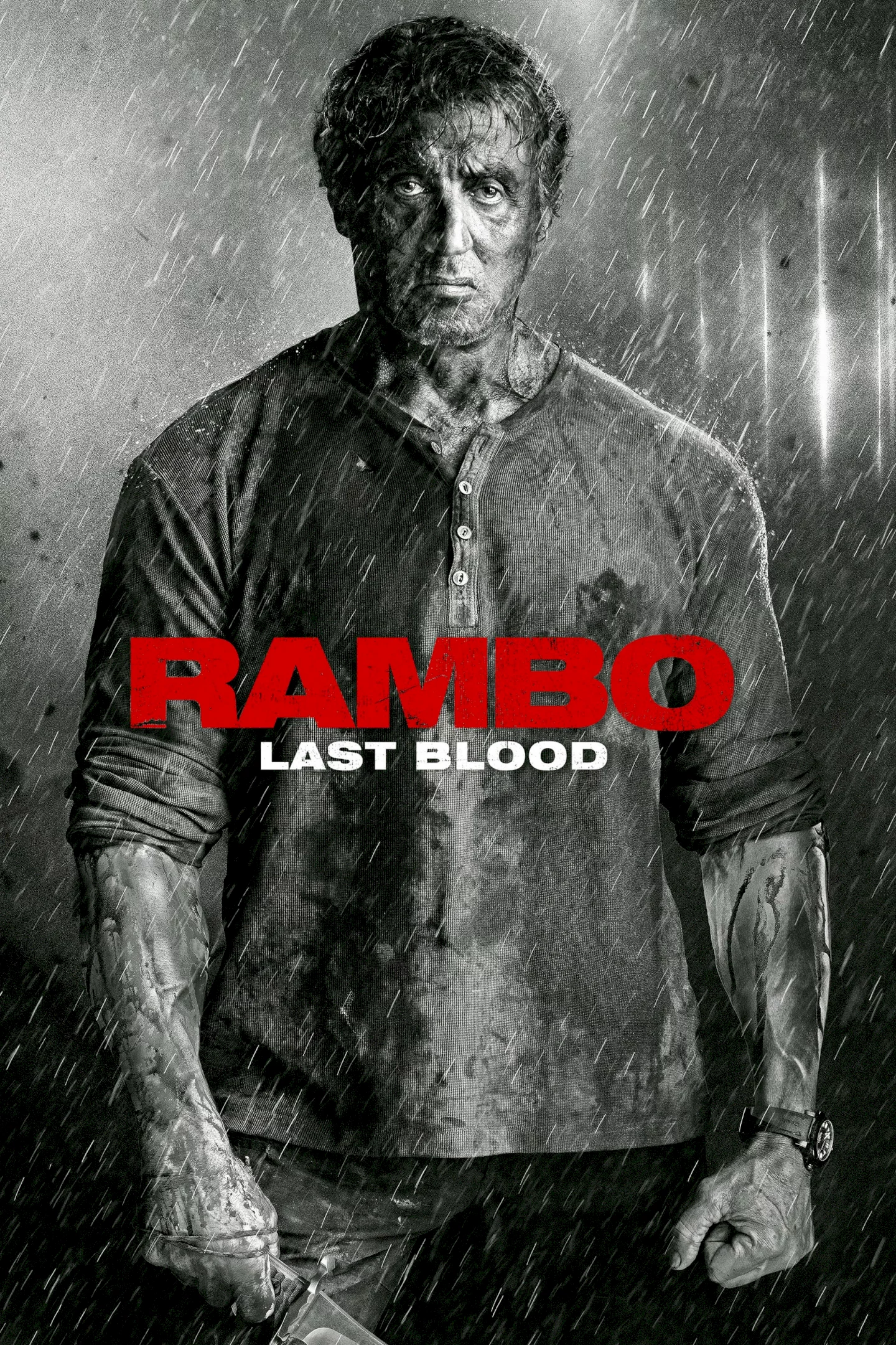 Photo 1 du film : Rambo : Last Blood