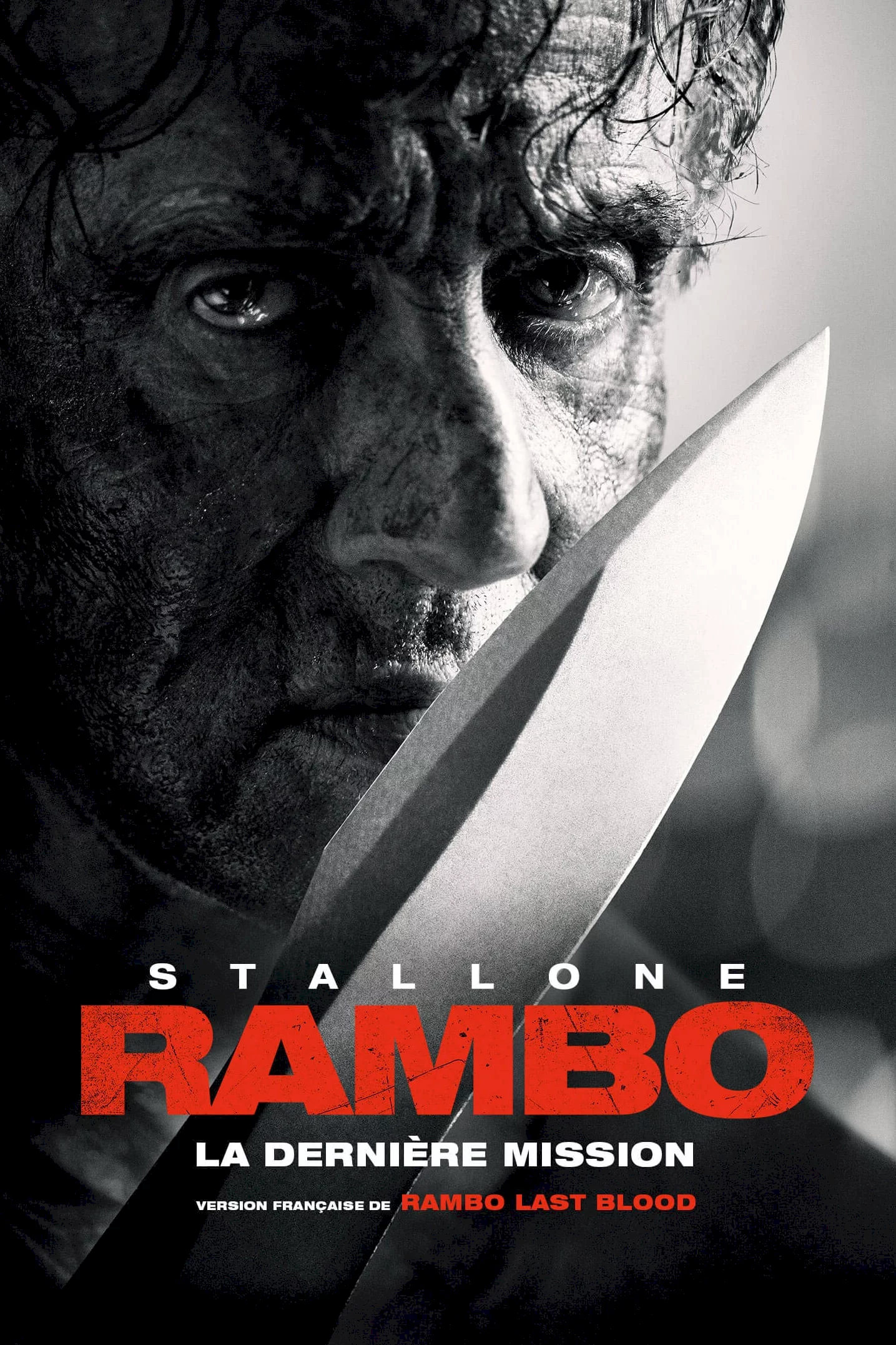 Photo 3 du film : Rambo : Last Blood