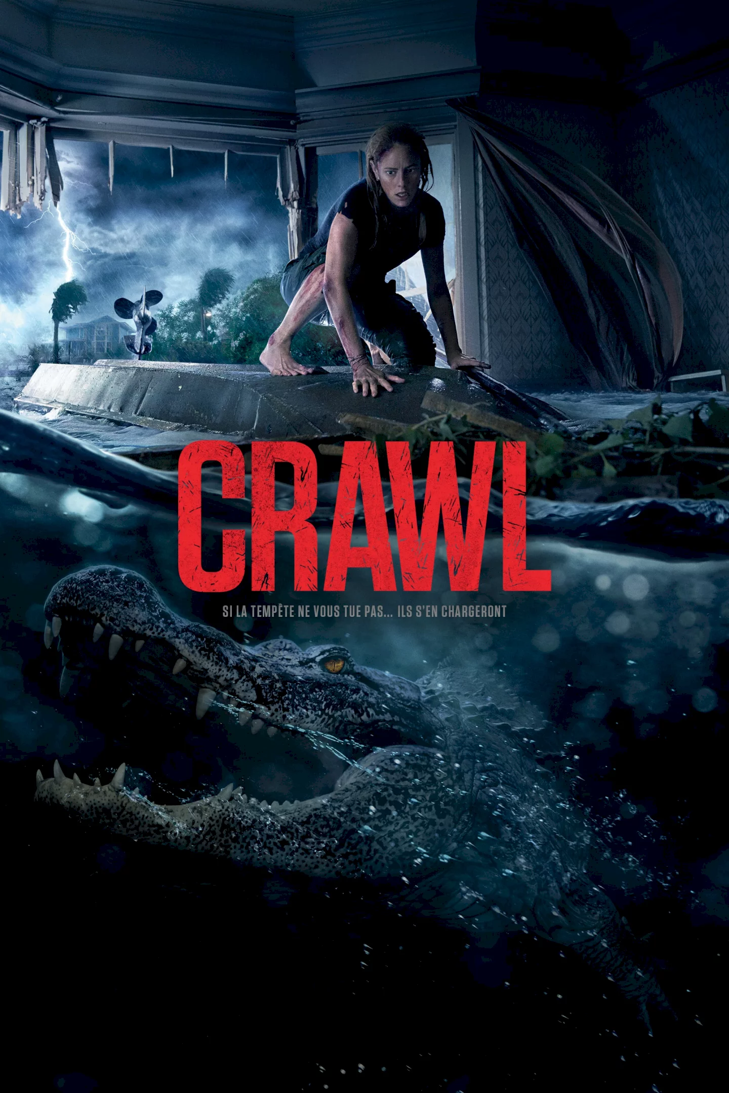 Photo 2 du film : Crawl