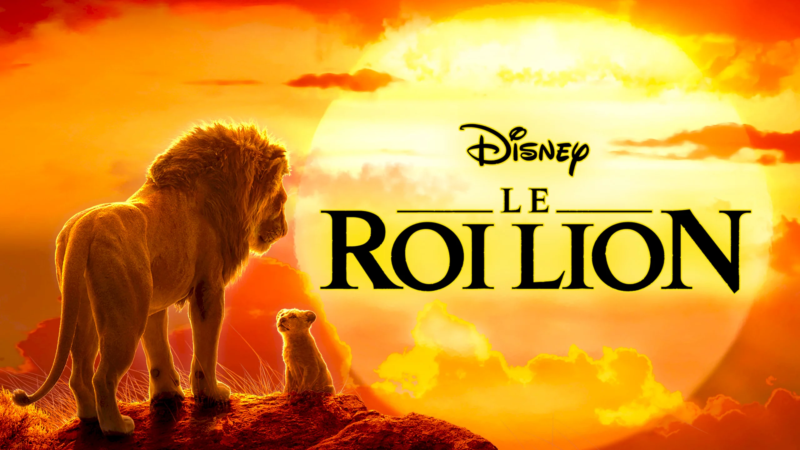 Photo 1 du film : Le Roi Lion