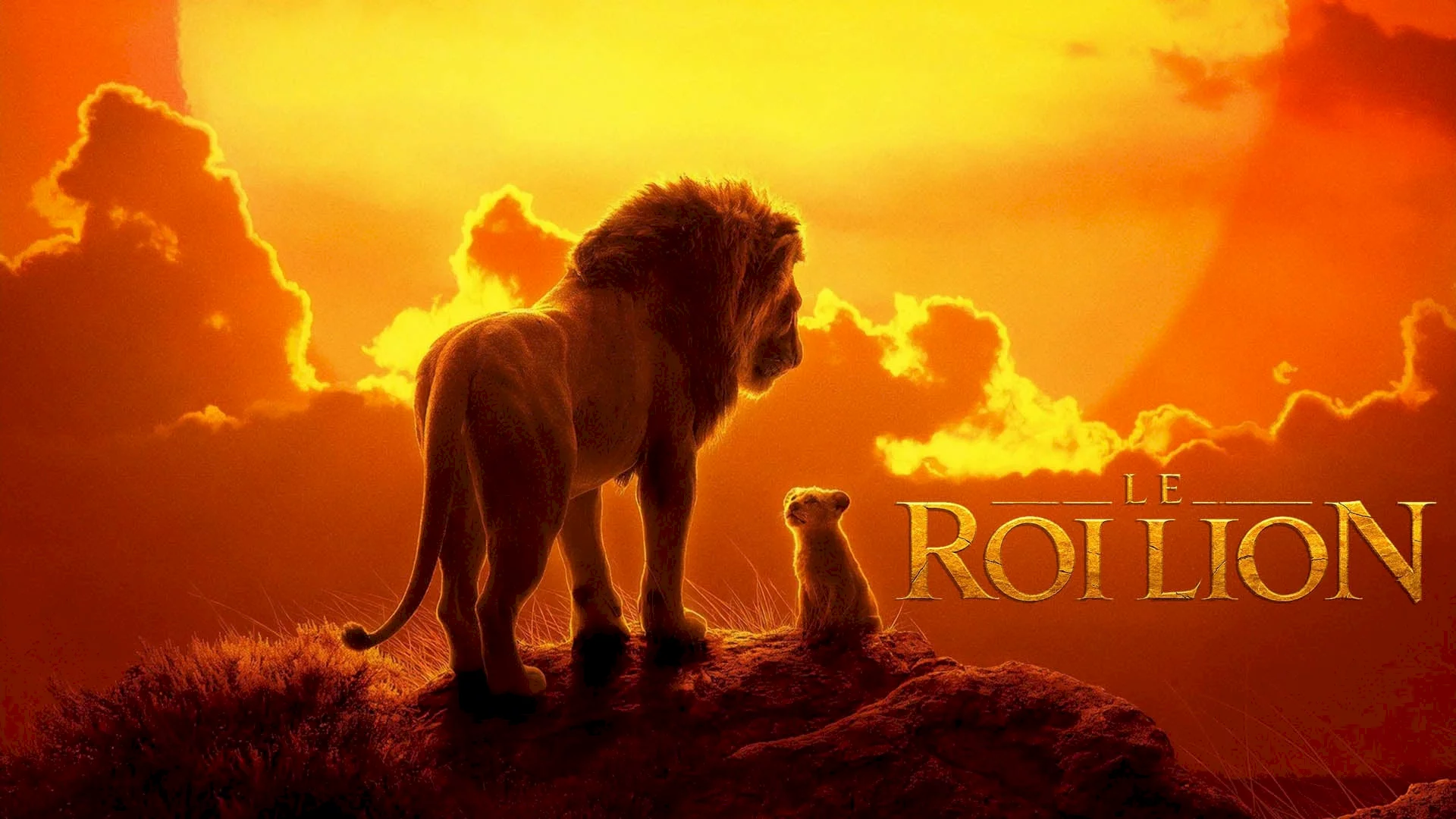 Photo 4 du film : Le Roi Lion
