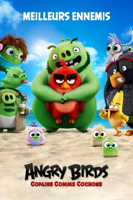 Affiche du film Angry Birds, Copains comme cochons