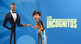 Affiche du film : Les Incognitos