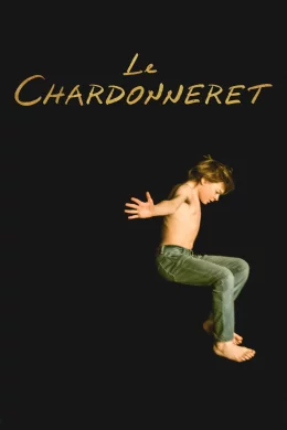 Affiche du film Le Chardonneret