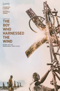 Affiche du film : Le Garçon qui dompta le vent