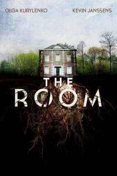 Affiche du film = The Room