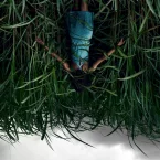 Photo du film : Dans les hautes herbes