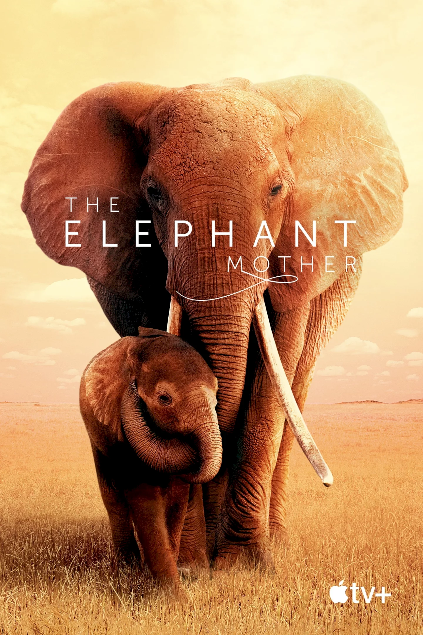 Photo du film : The Elephant Mother