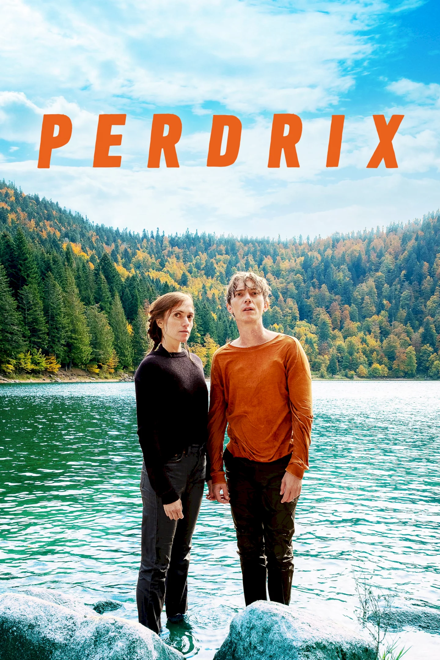 Photo 1 du film : Perdrix