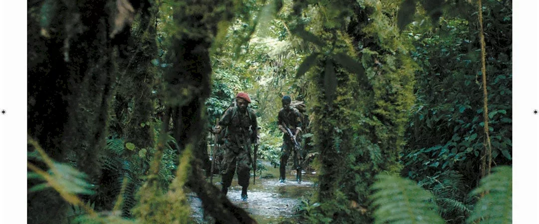 Photo du film : La Miséricorde de la jungle