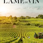 Photo du film : L'âme du vin