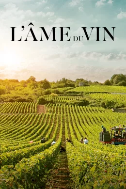 Affiche du film L'âme du vin