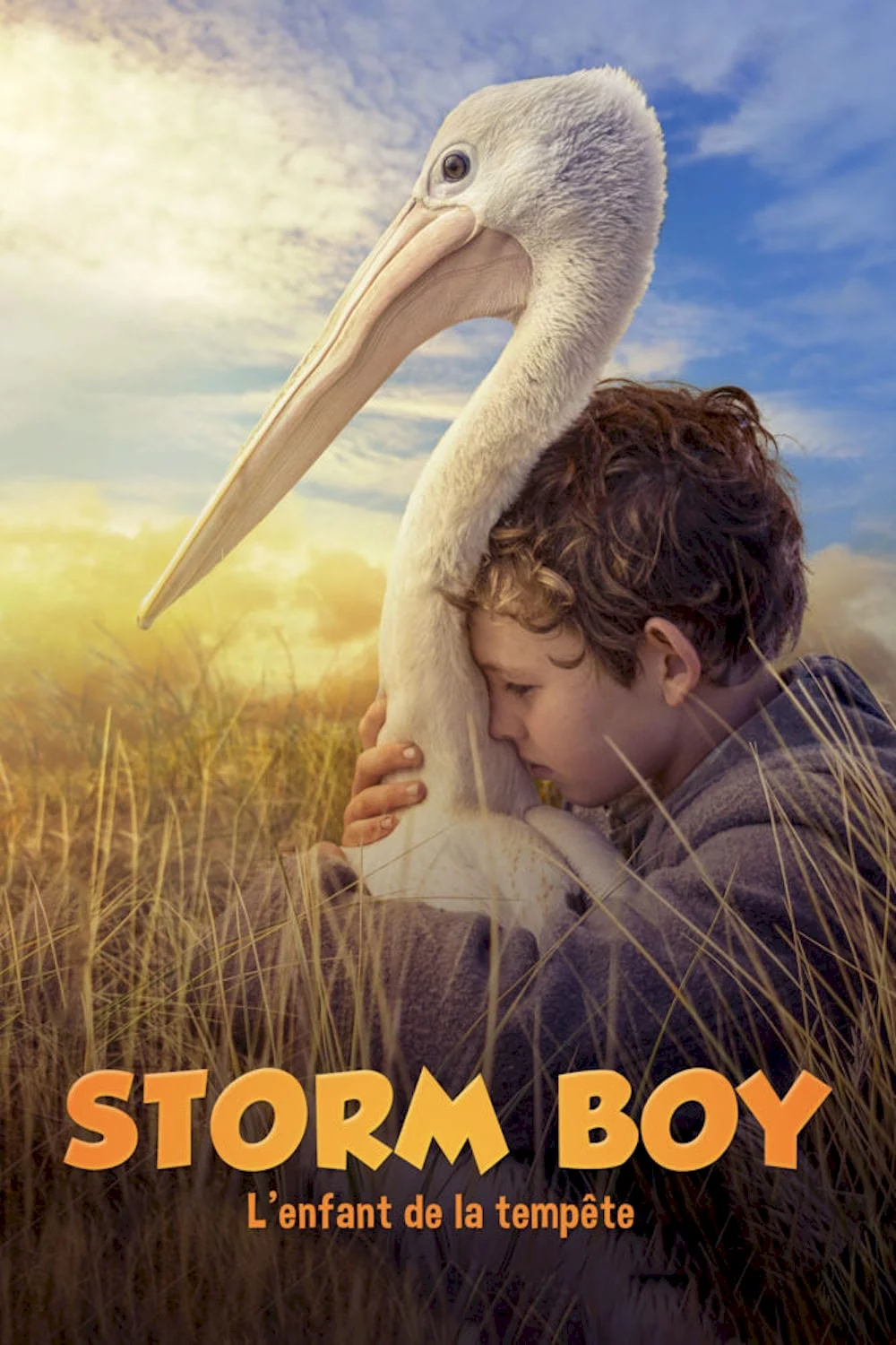Photo du film : Storm Boy