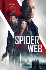 Affiche du film : Spider in the Web
