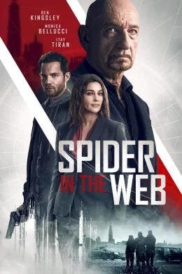 Affiche du film Spider in the Web
