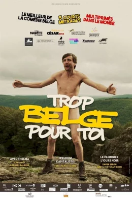 Affiche du film Trop belge pour toi