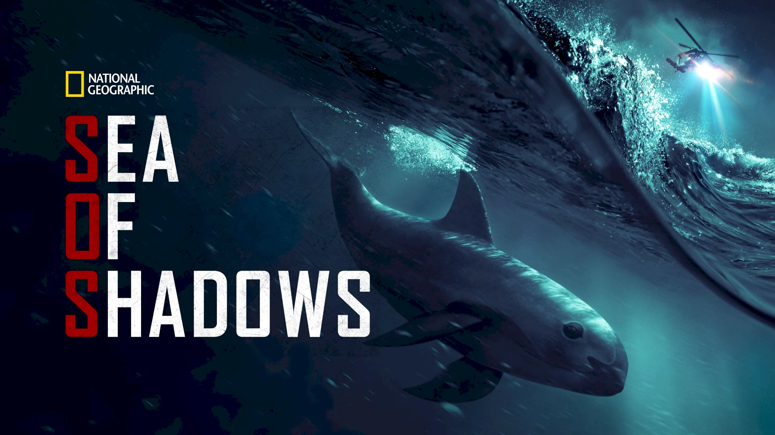 Photo 1 du film : Sea of Shadows