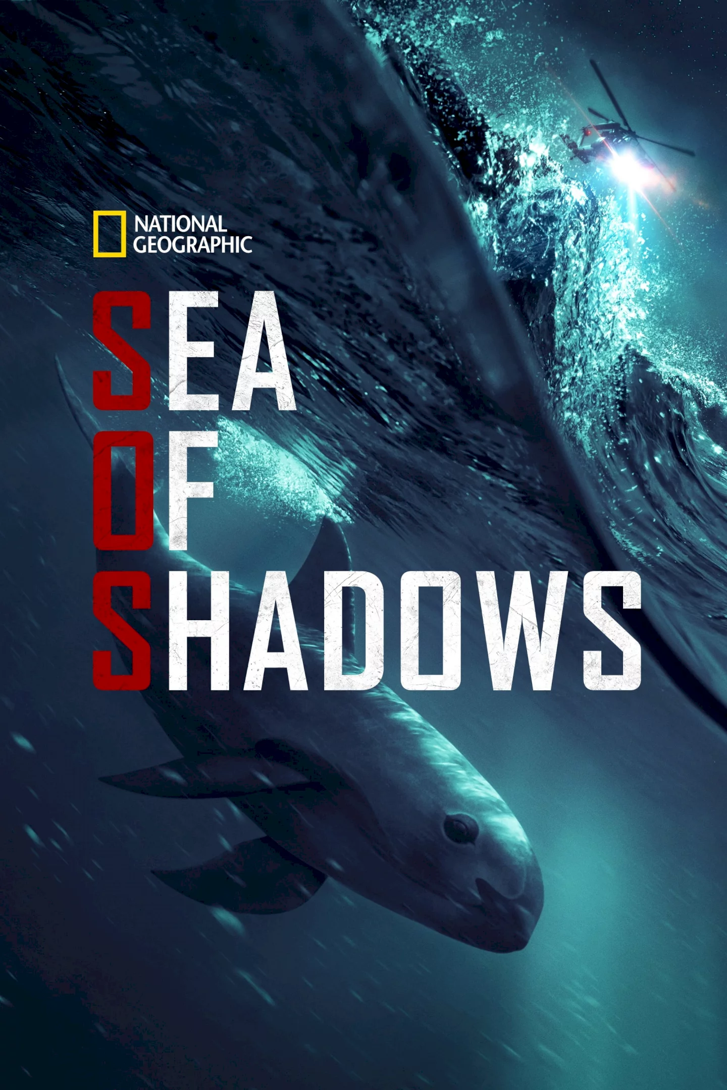 Photo 3 du film : Sea of Shadows