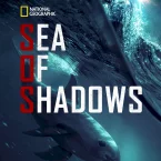 Photo du film : Sea of Shadows