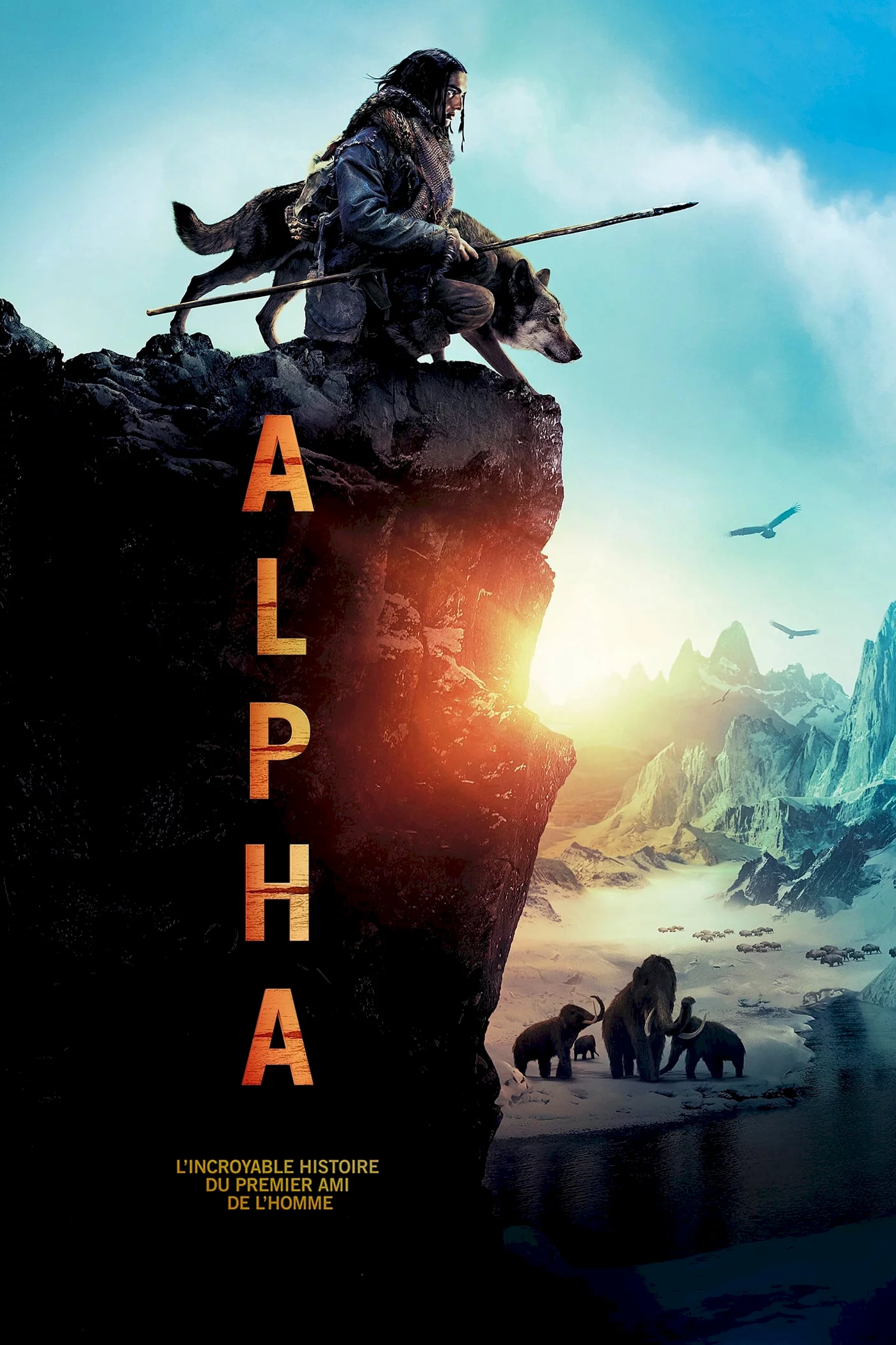 Photo 1 du film : Alpha