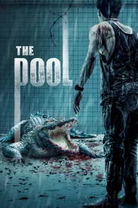 Affiche du film : The Pool