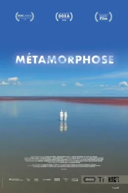 Affiche du film Métamorphose