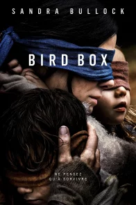 Affiche du film : Bird Box