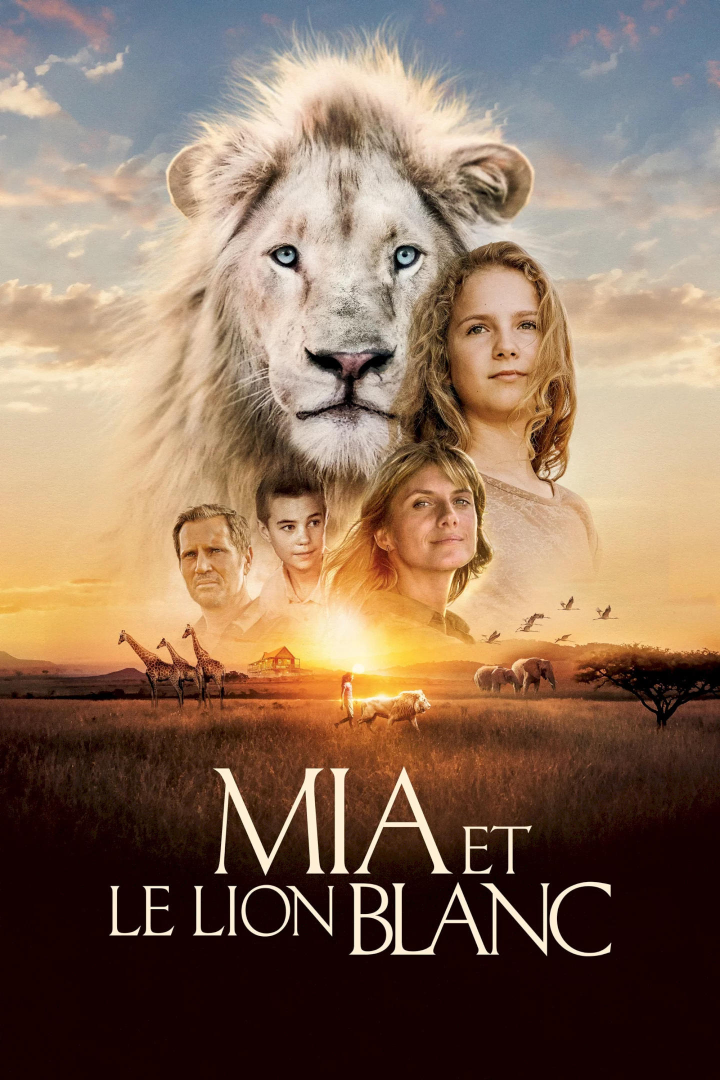 Photo 1 du film : Mia et le Lion Blanc