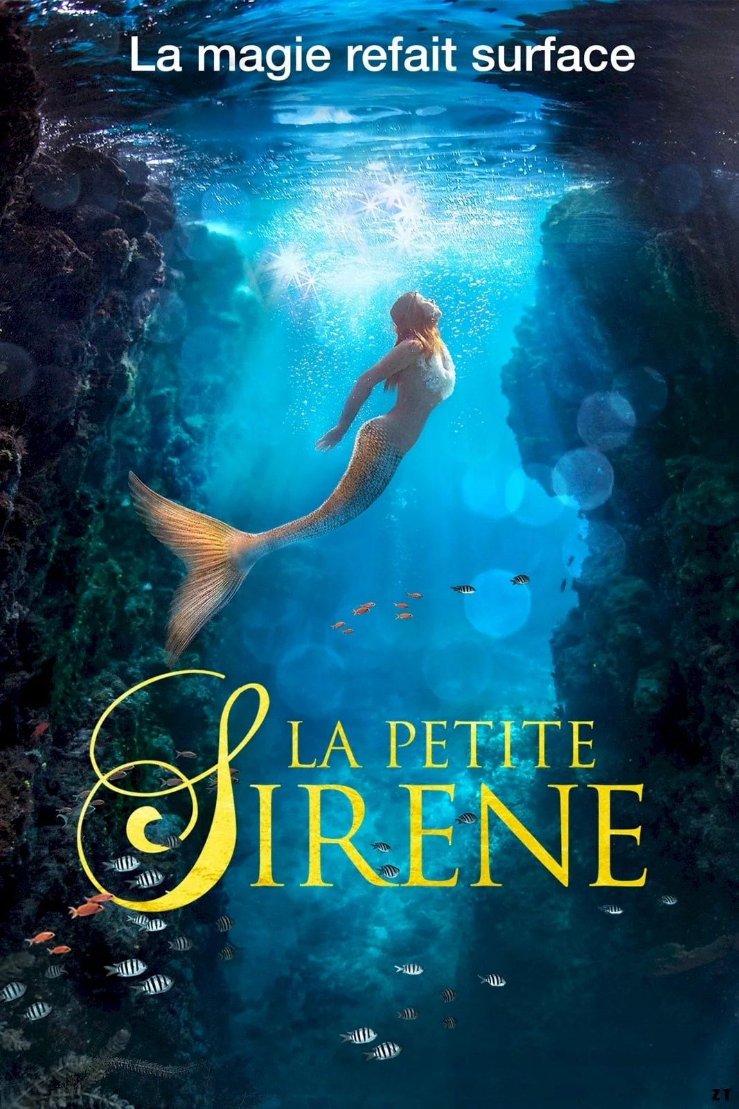 Photo 2 du film : La Petite Sirène