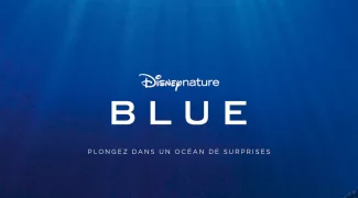 Affiche du film : Blue