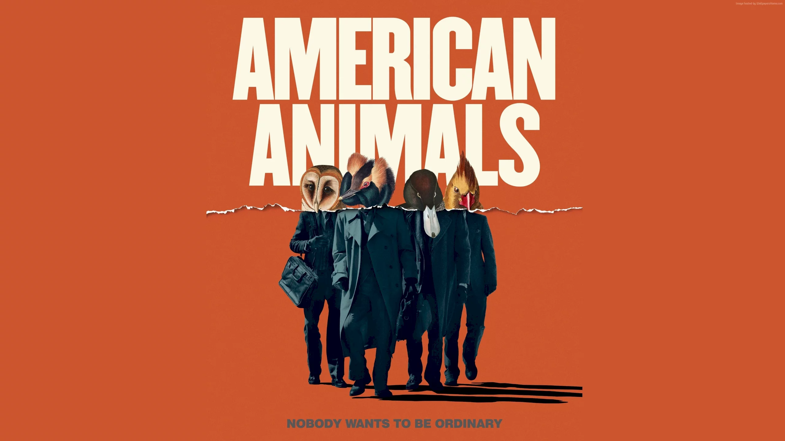 Photo du film : American Animals
