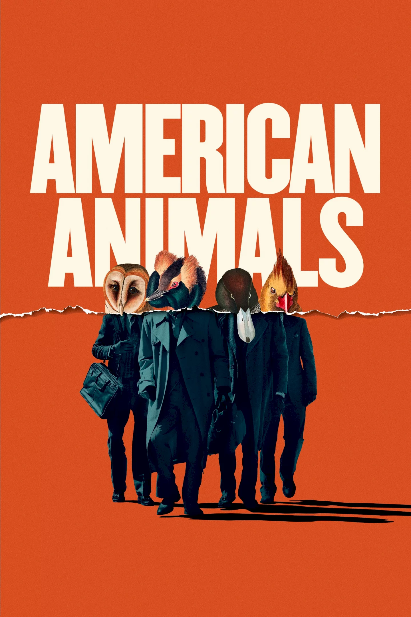 Photo du film : American Animals