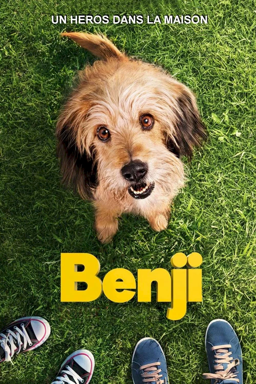 Photo 1 du film : Benji
