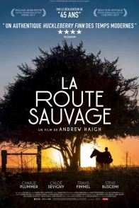 Affiche du film : La Route sauvage