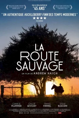 Affiche du film La Route sauvage