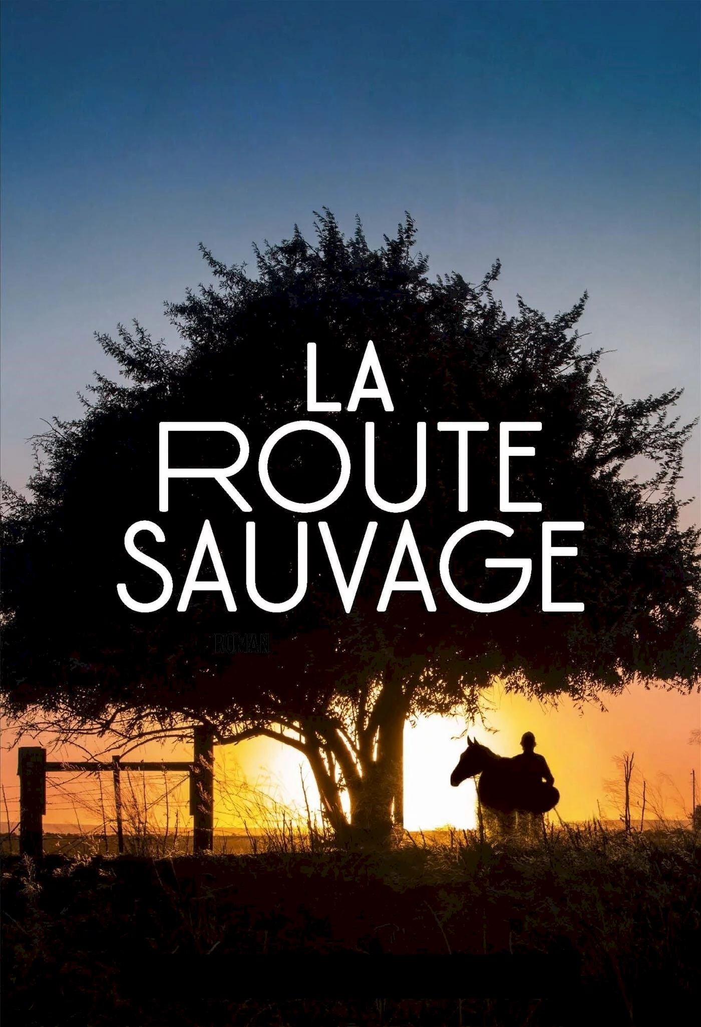Photo 2 du film : La Route sauvage