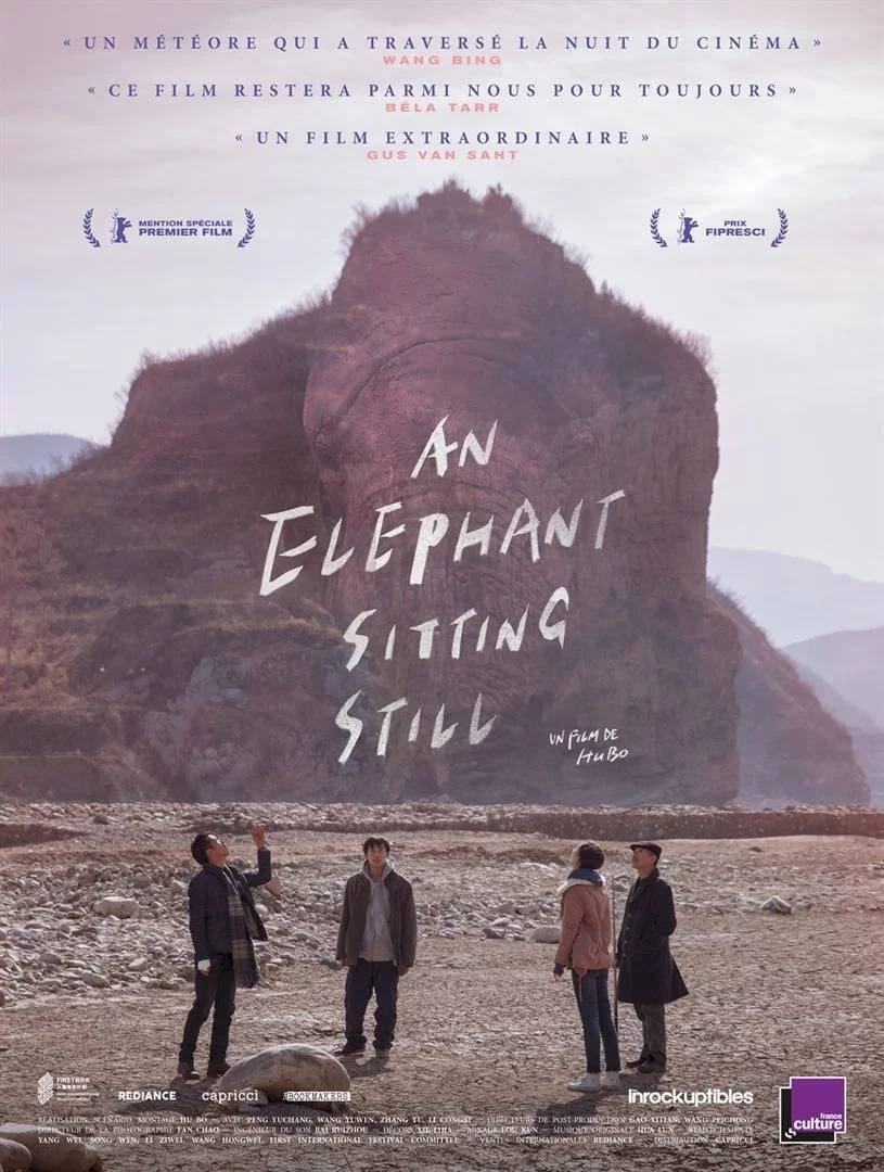 Photo 1 du film : An Elephant Sitting Still