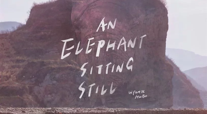 Photo du film : An Elephant Sitting Still