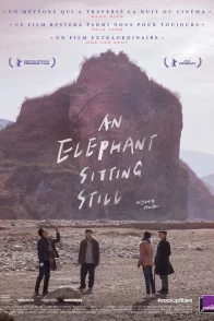 Affiche du film : An Elephant Sitting Still