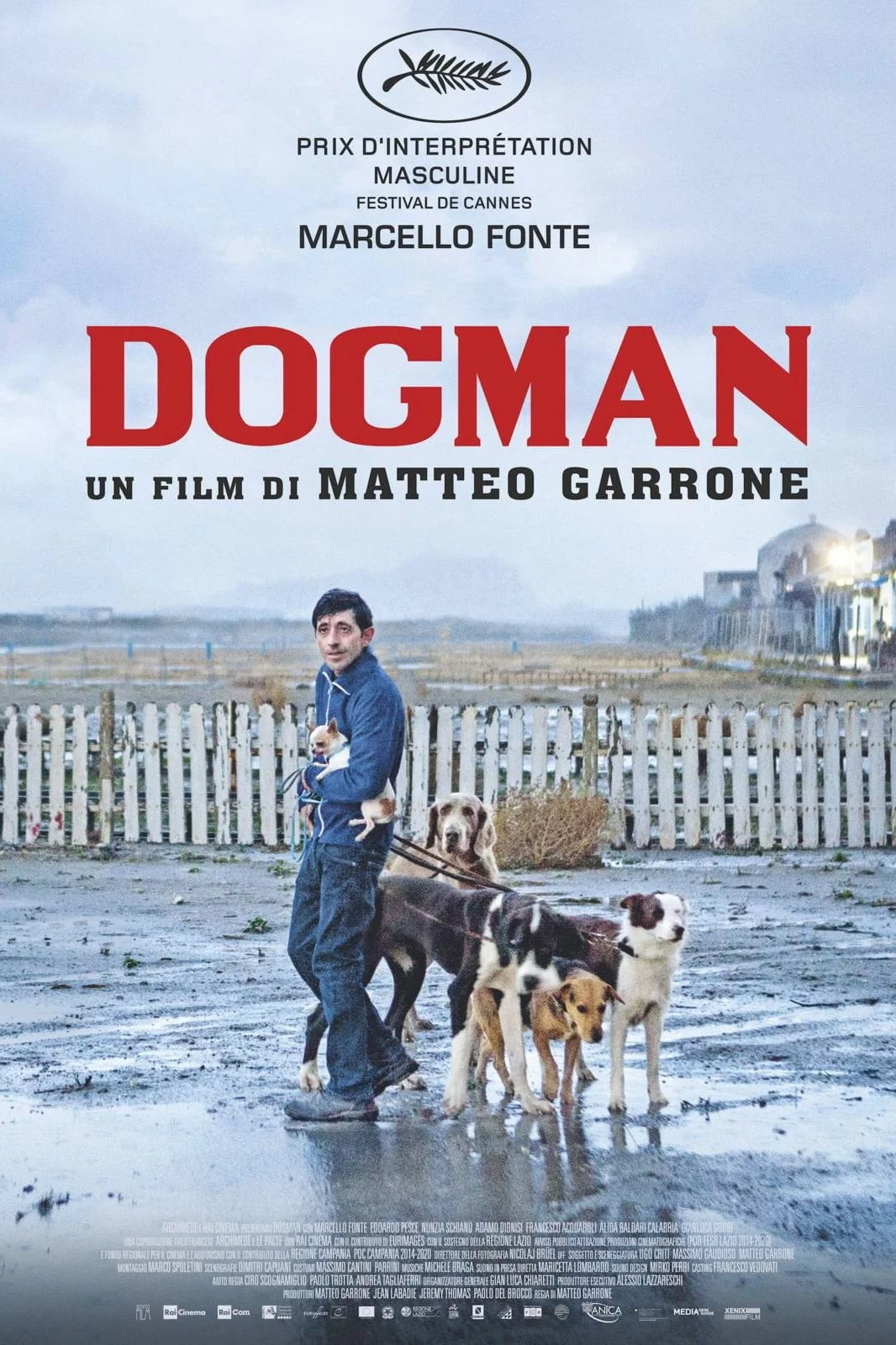 Photo 1 du film : Dogman