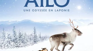 Affiche du film : Aïlo : Une odyssée en Laponie