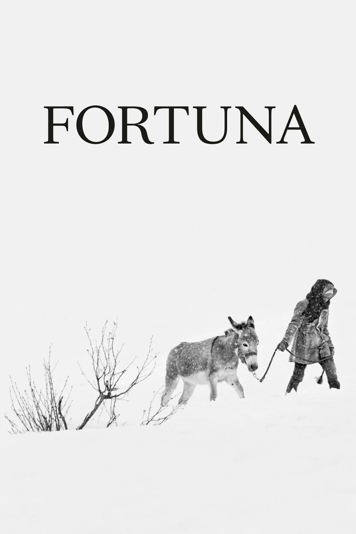 Photo 1 du film : Fortuna