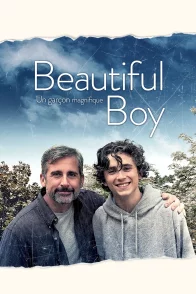 Affiche du film : My Beautiful Boy