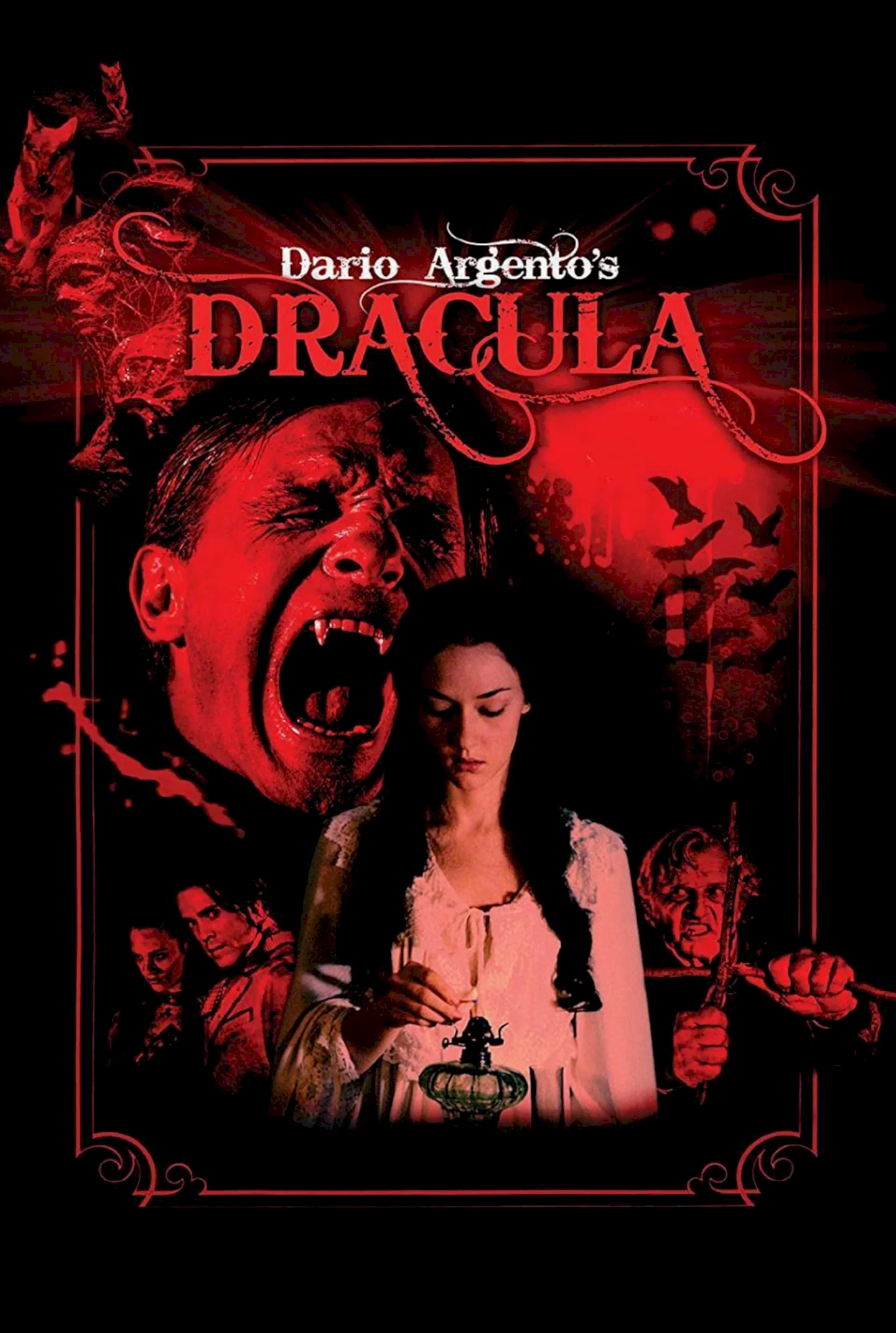 Photo 4 du film : Dario Argento's Dracula