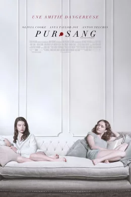 Affiche du film Pur-sang