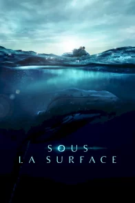 Affiche du film : Sous la surface