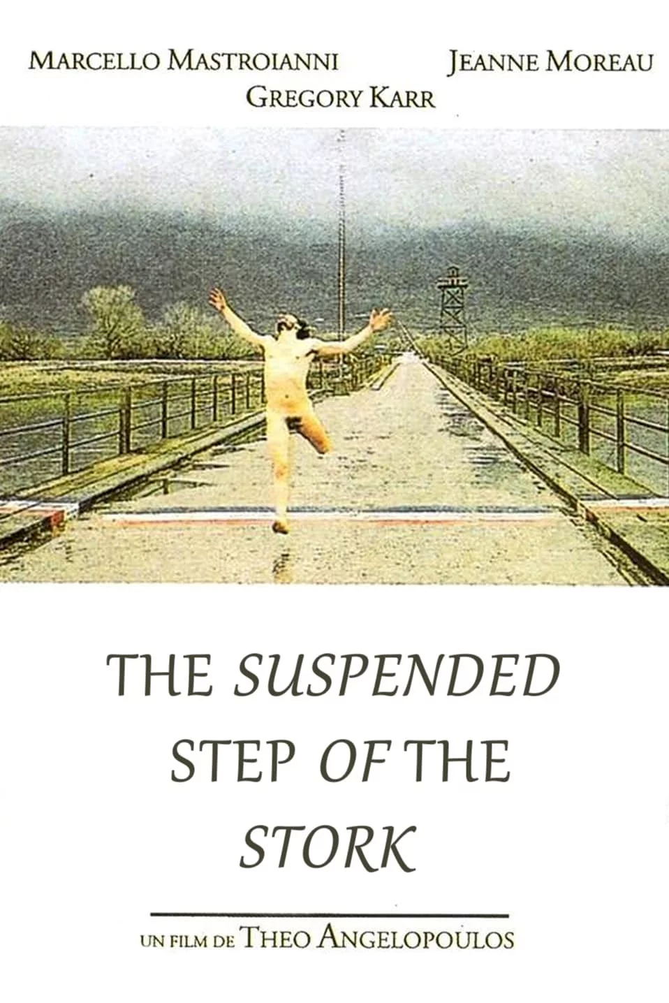 Photo 3 du film : Le pas suspendu de la cigogne